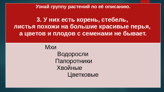 Узнай группу растений по её описанию.  Мхи 3. У них есть корень, стебель, Водоросли листья похожи на большие красивые перья, Папоротники а цветов и плодов с семенами не бывает. Хвойные  Цветковые
