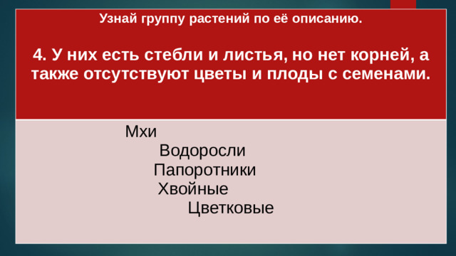 Узнай группу растений по её описанию.  Мхи 4. У них есть стебли и листья, но нет корней, а также отсутствуют цветы и плоды с семенами. Водоросли  Папоротники Хвойные Цветковые