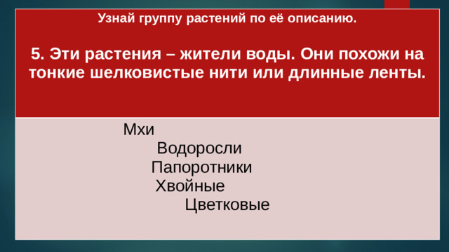 Узнай группу растений по её описанию.  Мхи 5. Эти растения – жители воды. Они похожи на тонкие шелковистые нити или длинные ленты. Водоросли  Папоротники Хвойные Цветковые