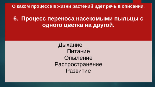 О каком процессе в жизни растений идёт речь в описании.  Дыхание 6. Процесс переноса насекомыми пыльцы с одного цветка на другой. Питание  Опыление Распространение Развитие