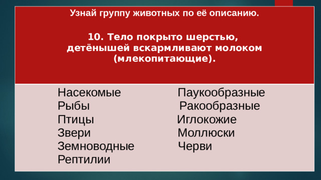 Узнай группу животных по её описанию.   Насекомые Паукообразные 10. Тело покрыто шерстью,  Рыбы Ракообразные детёнышей вскармливают молоком (млекопитающие).  Птицы Иглокожие  Звери Моллюски  Земноводные Черви  Рептилии
