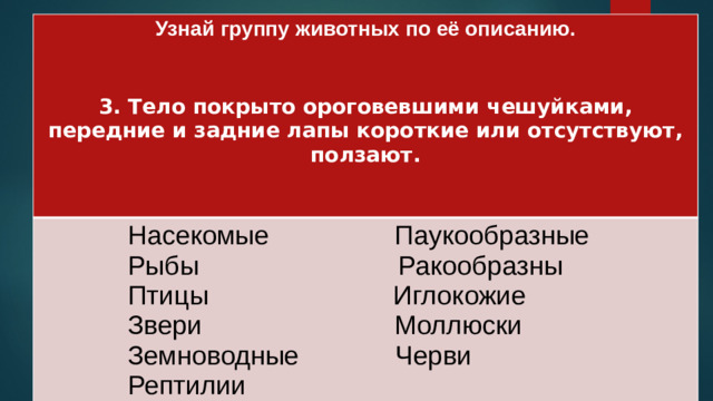 Узнай группу животных по её описанию.   Насекомые Паукообразные   Рыбы Ракообразны 3. Тело покрыто ороговевшими чешуйками, передние и задние лапы короткие или отсутствуют, ползают.  Птицы Иглокожие   Звери Моллюски   Земноводные Черви  Рептилии