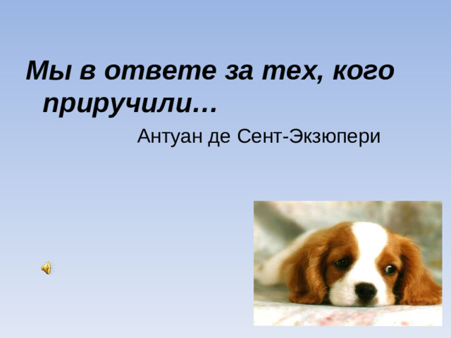 Мы в ответе за тех, кого приручили…  Антуан де Сент-Экзюпери