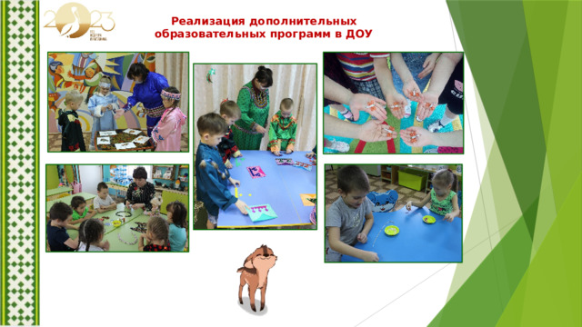 Реализация дополнительных образовательных программ в ДОУ