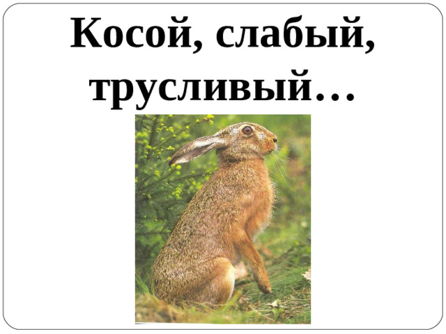 Косой, слабый, трусливый …