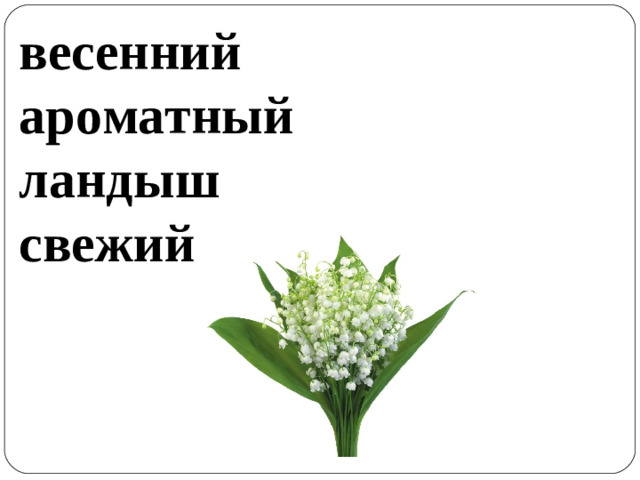 весенний ароматный ландыш свежий