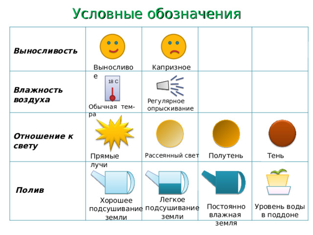Условные обозначения Выносливость К апризное В ыносливое 18 С Влажность воздуха Регулярное опрыскивание Обычная тем-ра Отношение к свету Полутень Тень Рассеянный свет Прямые лучи Полив Легкое подсушивание земли Хорошее подсушивание земли Постоянно влажная земля Уровень воды в поддоне