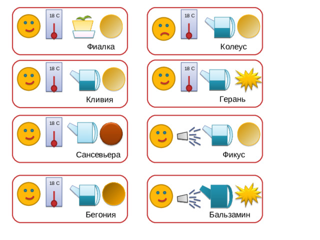 18 С 18 С Колеус Фиалка 18 С 18 С Герань Кливия 18 С Фикус Сансевьера 18 С Бальзамин Бегония
