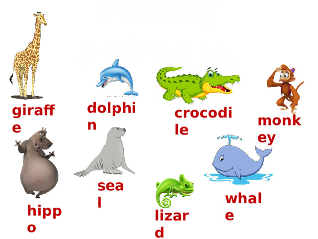 Funny animals. dolphin giraffe crocodile monkey seal whale hippo lizard
