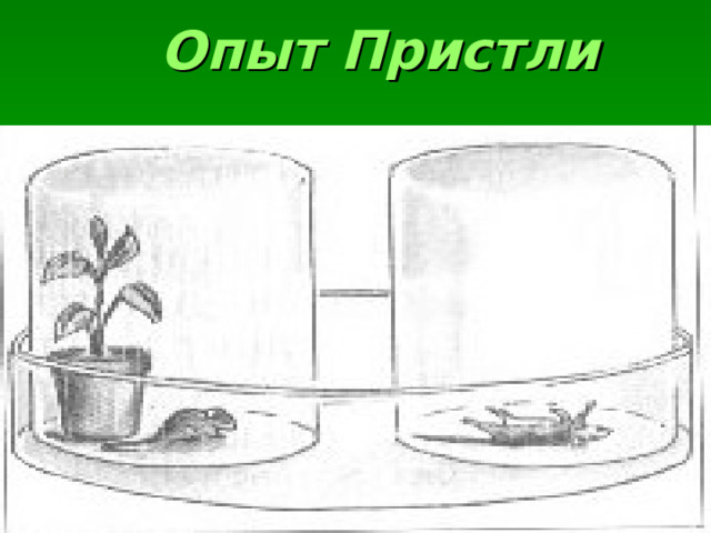 Опыт Пристли