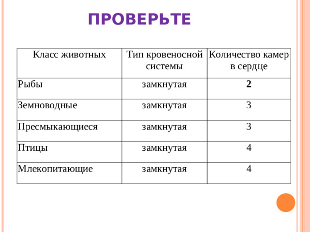 ПРОВЕРЬТЕ Класс животных Тип кровеносной системы Рыбы Количество камер в сердце замкнутая Земноводные 2 замкнутая Пресмыкающиеся Птицы 3 замкнутая 3 замкнутая Млекопитающие 4 замкнутая 4