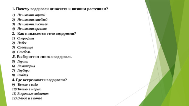 1. Почему водоросли относятся к низшим растениям? Не имеют корней Не имеют стеблей Не имеют листьев Не имеют органов Как называется тело водоросли? Спорофит Побег Слоевище Стебель 3. Выберите из списка водоросль Герань Ламинария Гербера Элодея 4. Где встречаются водоросли?