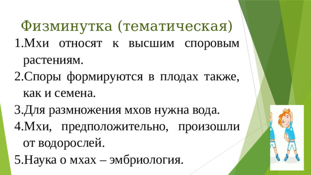 Физминутка (тематическая)