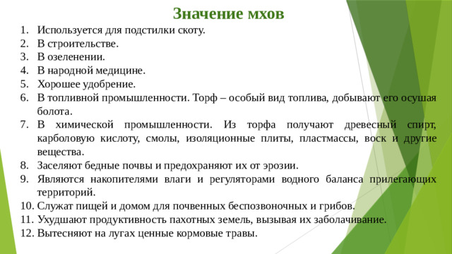 Значение мхов