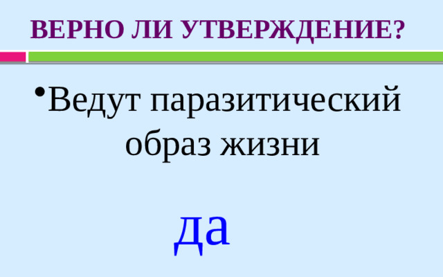 ВЕРНО ЛИ УТВЕРЖДЕНИЕ? Ведут паразитический  образ жизни да