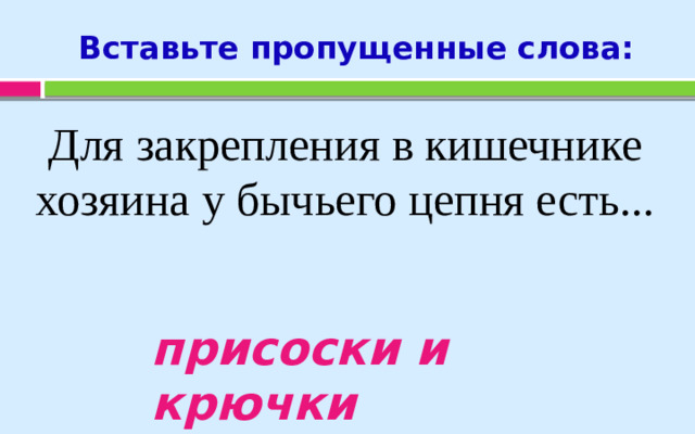 Вставьте пропущенные слова: Для закрепления в кишечнике хозяина у бычьего цепня есть... присоски и крючки