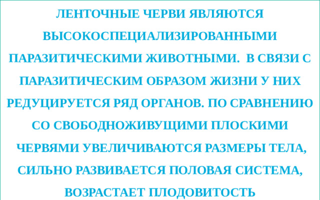 Ленточные черви являются высокоспециализированными паразитическими животными. В связи с паразитическим образом жизни у них редуцируется ряд органов. по сравнению со свободноживущими плоскими  червями увеличиваются размеры тела, сильно развивается половая система, возрастает плодовитость