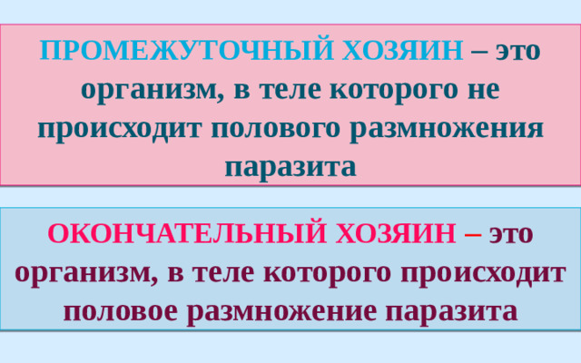 Промежуточный хозяин – это организм, в теле которого не происходит полового размножения паразита  ОКОНЧАТЕЛЬНЫЙ ХОЗЯИН – это организм, в теле которого происходит половое размножение паразита