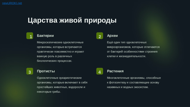 Царства живой природы Бактерии Археи 1 2 Ещё один тип одноклеточных микроорганизмов, которые отличаются от бактерий особенностями строения клетки и жизнедеятельности. Микроскопические одноклеточные организмы, которые встречаются практически повсеместно и играют важную роль в различных биологических процессах. Протисты Растения 4 3 Одноклеточные эукариотические организмы, которые включают в себя простейших животных, водоросли и некоторые грибы. Многоклеточные организмы, способные к фотосинтезу и составляющие основу наземных и водных экосистем.