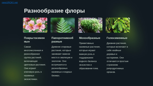 Разнообразие флоры Покрытосеменные Мохообразные Папоротникообразные Голосеменные Примитивные наземные растения, которые играют важную роль в поддержании водного баланса экосистем и образовании почв. Древние растения, которые включают в себя хвойные деревья и кустарники. Они отличаются простым строением репродуктивных органов. Самая многочисленная и разнообразная группа растений, включающая цветковые растения. Они играют ключевую роль в наземных экосистемах. Древние споровые растения, которые занимают важное место в эволюции и экологии. Они встречаются в разнообразных наземных и водных биомах.