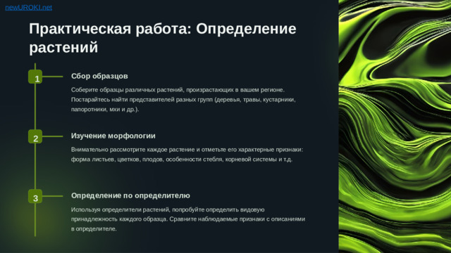 Практическая работа: Определение растений Сбор образцов 1 Соберите образцы различных растений, произрастающих в вашем регионе. Постарайтесь найти представителей разных групп (деревья, травы, кустарники, папоротники, мхи и др.). Изучение морфологии 2 Внимательно рассмотрите каждое растение и отметьте его характерные признаки: форма листьев, цветков, плодов, особенности стебля, корневой системы и т.д. Определение по определителю 3 Используя определители растений, попробуйте определить видовую принадлежность каждого образца. Сравните наблюдаемые признаки с описаниями в определителе.