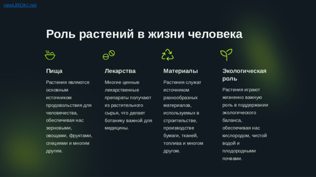 Роль растений в жизни человека Пища Лекарства Материалы Экологическая роль Растения являются основным источником продовольствия для человечества, обеспечивая нас зерновыми, овощами, фруктами, специями и многим другим. Растения служат источником разнообразных материалов, используемых в строительстве, производстве бумаги, тканей, топлива и многом другом. Многие ценные лекарственные препараты получают из растительного сырья, что делает ботанику важной для медицины. Растения играют жизненно важную роль в поддержании экологического баланса, обеспечивая нас кислородом, чистой водой и плодородными почвами.