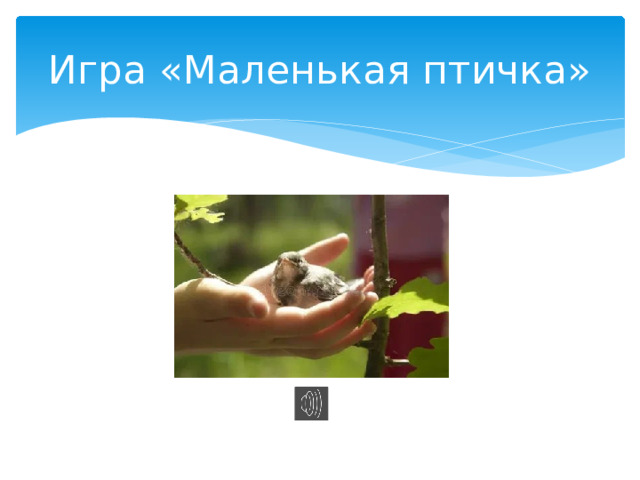 Игра «Маленькая птичка»