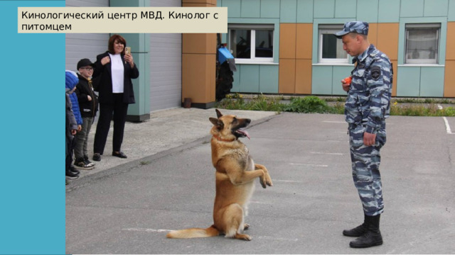 Кинологический центр МВД. Кинолог с питомцем