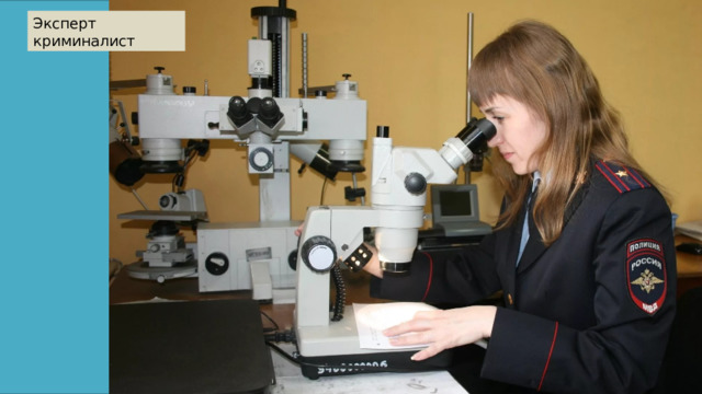 Эксперт криминалист