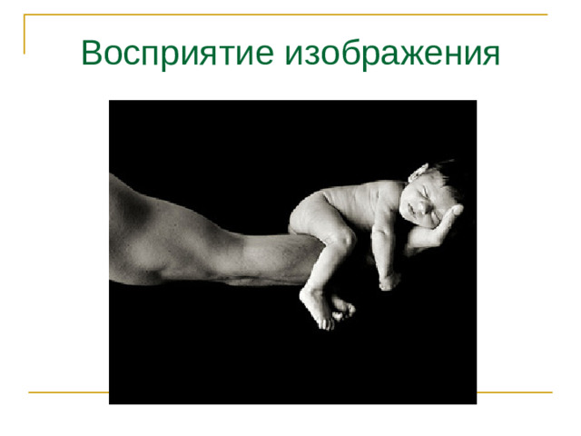 Восприятие изображения