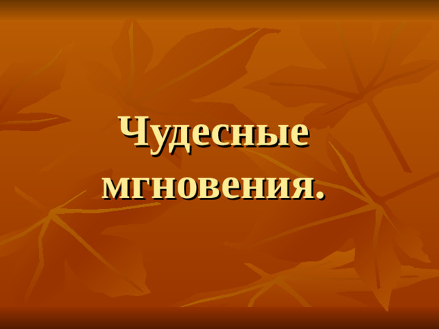 Чудесные мгновения.
