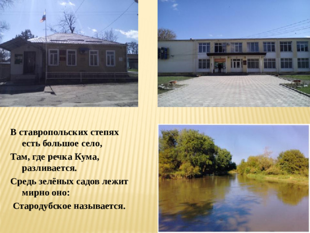 В ставропольских степях есть большое село, Там, где речка Кума, разливается. Средь зелёных садов лежит мирно оно:  Стародубское называется.