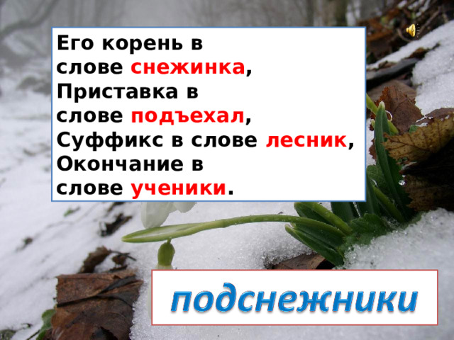 Его корень в слове  снежинка ,  Приставка в слове  подъехал ,  Суффикс в слове  лесник ,  Окончание в слове  ученики .