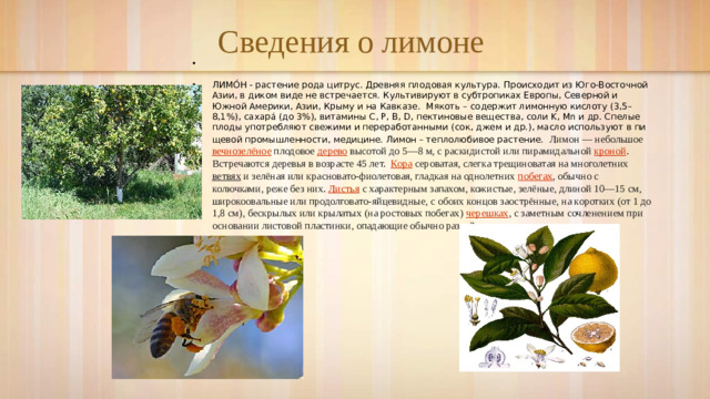 Сведения о лимоне