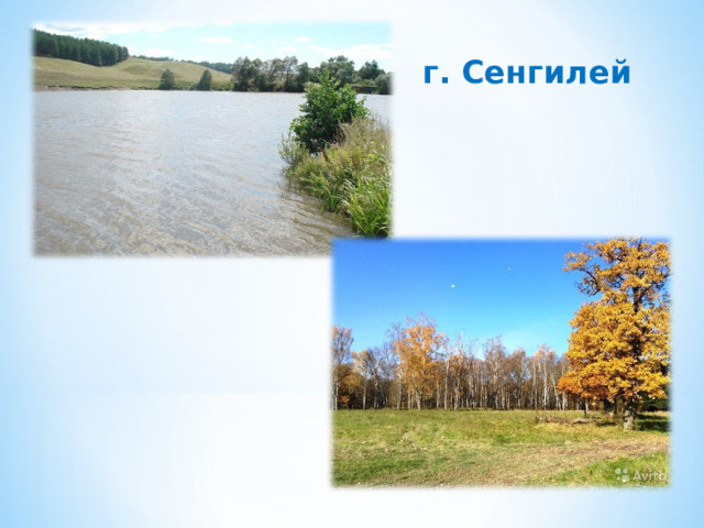 г. Сенгилей