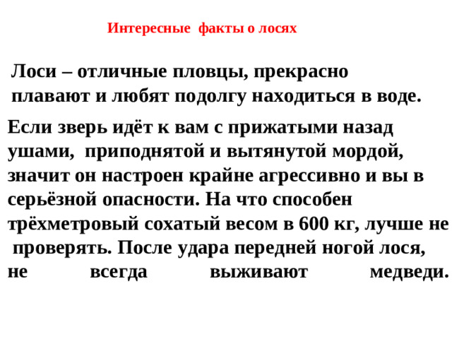 Интересные факты о лосях  Лоси – отличные пловцы, прекрасно плавают и любят подолгу находиться в воде. Если зверь идёт к вам с прижатыми назад ушами, приподнятой и вытянутой мордой, значит он настроен крайне агрессивно и вы в серьёзной опасности. На что способен трёхметровый сохатый весом в 600 кг, лучше не  проверять. После удара передней ногой лося, не всегда выживают медведи.