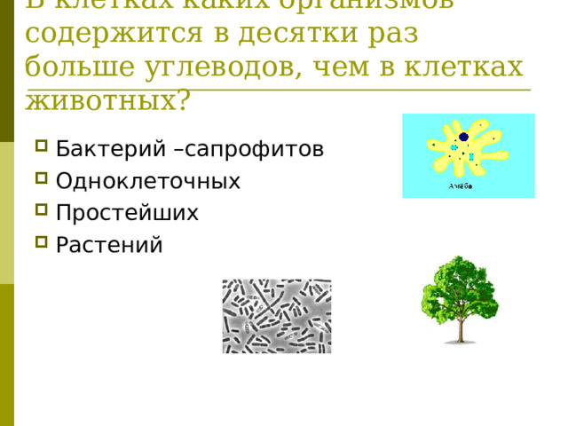В клетках каких организмов содержится в десятки раз больше углеводов, чем в клетках животных?