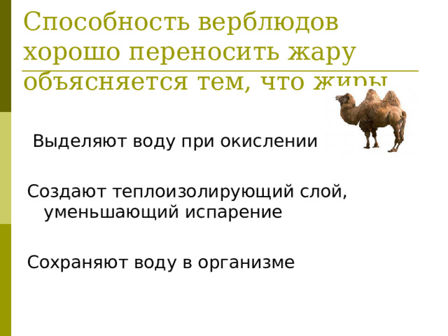 Способность верблюдов хорошо переносить жару объясняется тем, что жиры