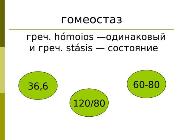 гомеостаз греч. hómoios —одинаковый  и греч. stásis — состояние 60-80 36,6 120/80