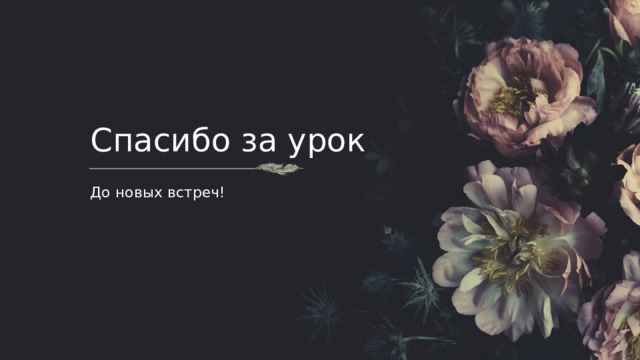 Спасибо за урок До новых встреч!