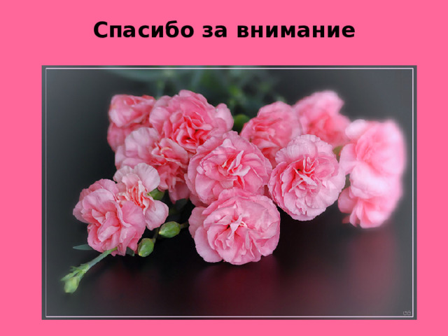 Спасибо за внимание