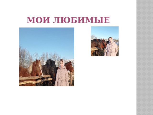 Мои любимые