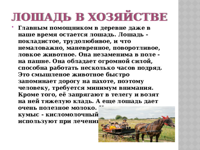 Лошадь в хозяйстве