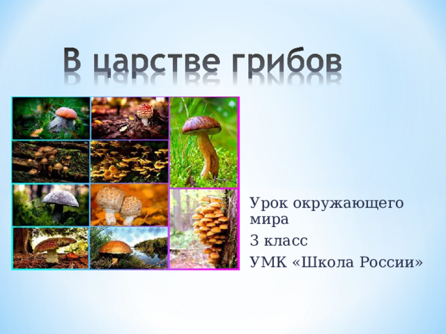 Урок окружающего мира 3 класс УМК «Школа России»