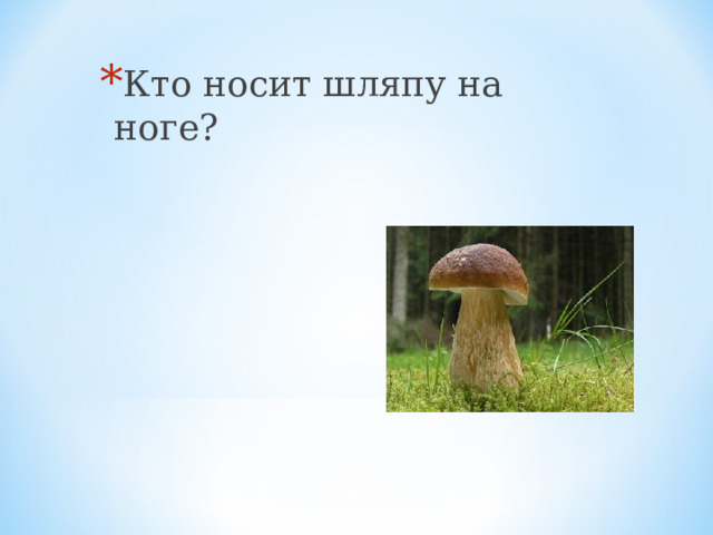 Кто носит шляпу на ноге?