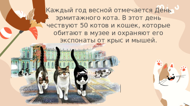 Каждый год весной отмечается День эрмитажного кота. В этот день чествуют 50 котов и кошек, которые обитают в музее и охраняют его экспонаты от крыс и мышей.