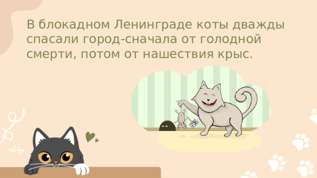 В блокадном Ленинграде коты дважды спасали город-сначала от голодной смерти, потом от нашествия крыс.