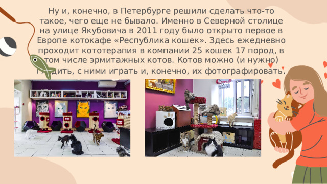 Ну и, конечно, в Петербурге решили сделать что-то такое, чего еще не бывало. Именно в Северной столице на улице Якубовича в 2011 году было открыто первое в Европе котокафе «Республика кошек». Здесь ежедневно проходит кототерапия в компании 25 кошек 17 пород, в том числе эрмитажных котов. Котов можно (и нужно) гладить, с ними играть и, конечно, их фотографировать .