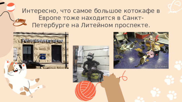 Интересно, что самое большое котокафе в Европе тоже находится в Санкт-Петербурге на Литейном проспекте.