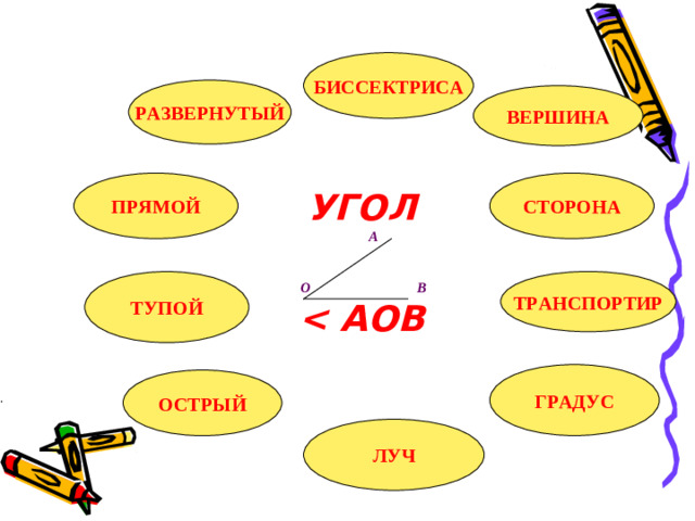 БИССЕКТРИСА РАЗВЕРНУТЫЙ ВЕРШИНА ПРЯМОЙ СТОРОНА УГОЛ  А    О В  АОВ ТУПОЙ ТРАНСПОРТИР . ГРАДУС ОСТРЫЙ ЛУЧ